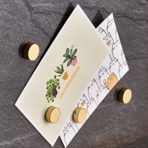 Magnet-Set, 4-tlg., extra stark, Metall, gold