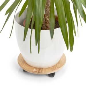 Pflanzenroller, rund, Kiefer/Kunststoff