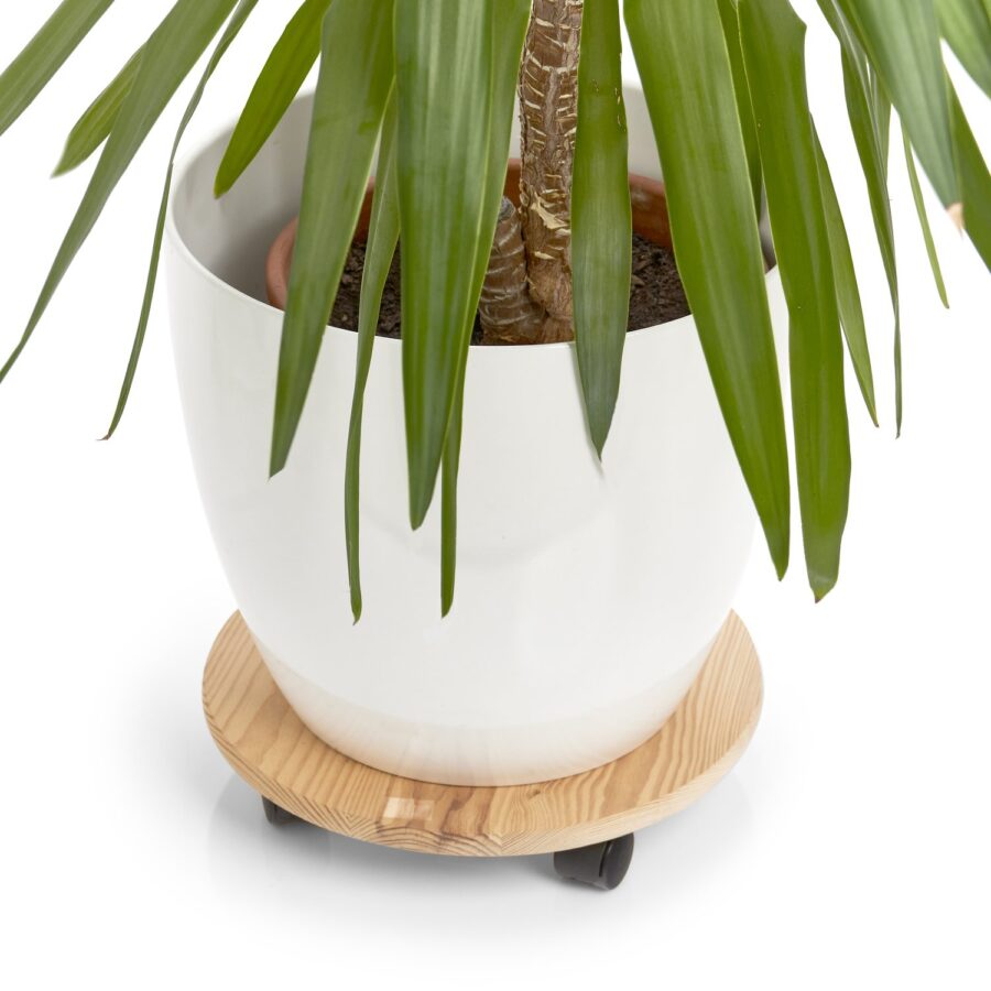 Pflanzenroller, rund, Kiefer/Kunststoff – Ansicht 2